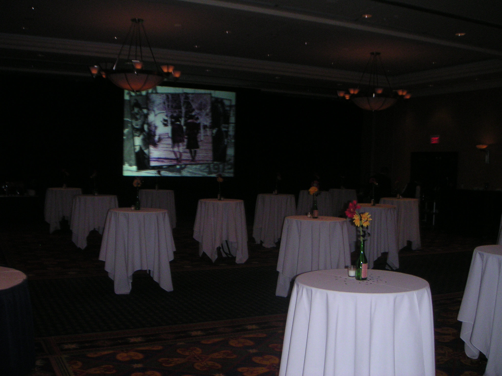 A 9' x 12' rear projection screen played a custom designed retrospective of our high school days throughout the evening 